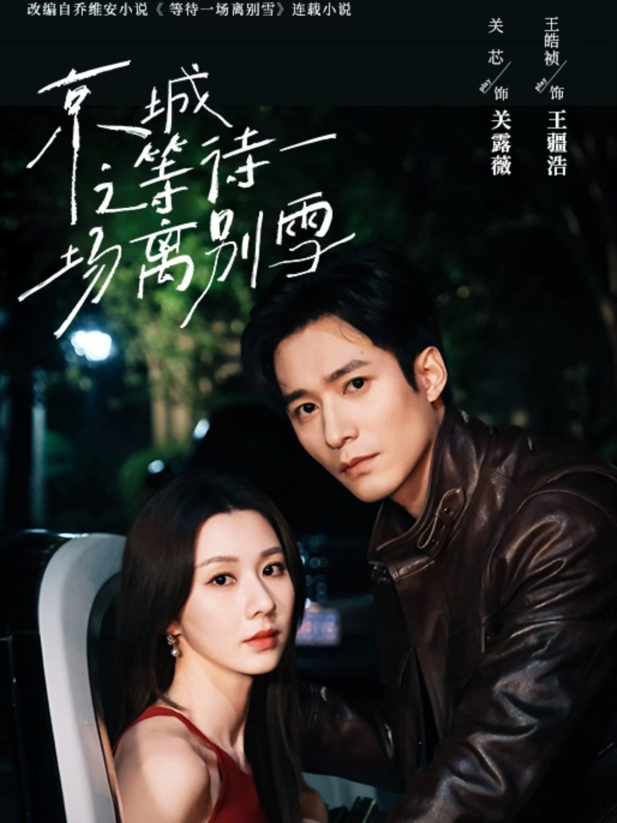 京城之等待一场离别雪