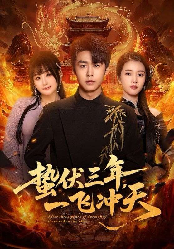 蛰伏三年，一飞冲天